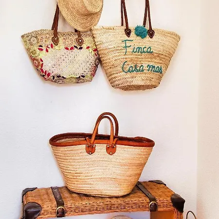 Casa Mas *