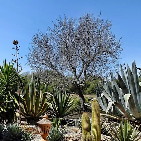 Villa Casa Mas
