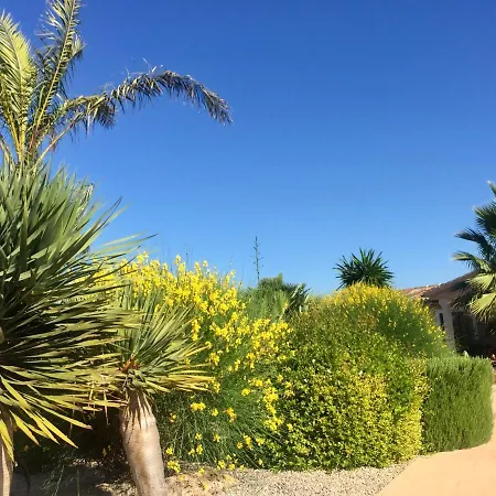 Casa Mas *